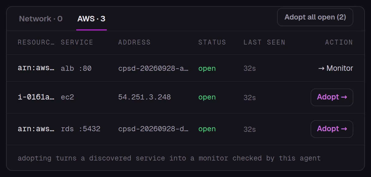 The real inventory of a customer-run agent: a load balancer, an EC2 instance and an RDS database it found in a test AWS account