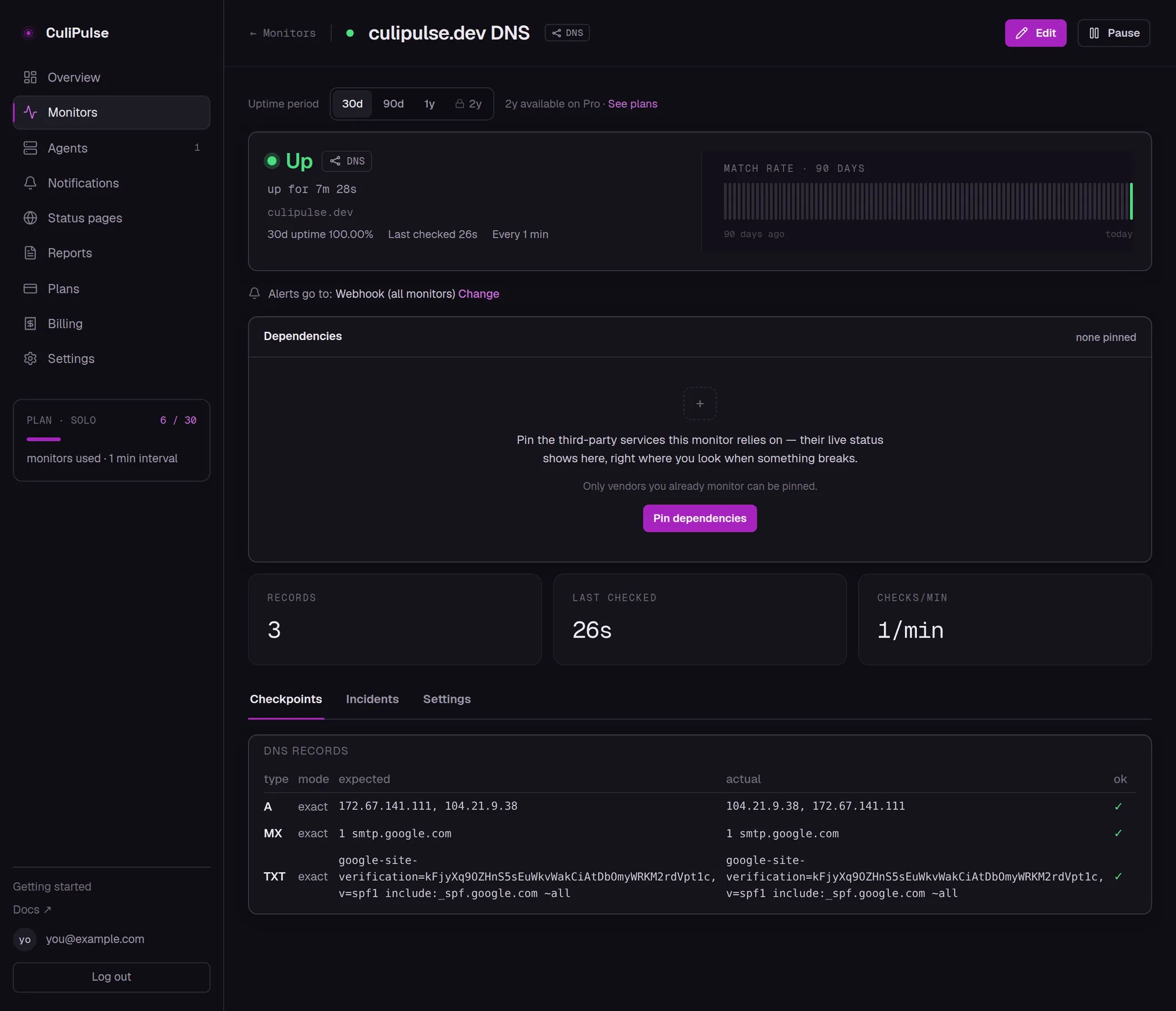 The real CuliPulse page for a DNS monitor: each watched record and how it matches